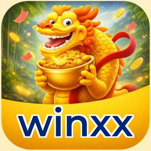 Comparação detalhada APP winxx vs versão web